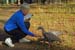 Cleland Wildlife Park-8031
