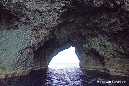 Bay Of Islands Cruise-9203