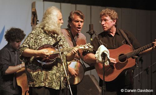 The David Grisman Bluegrass Experience-6904