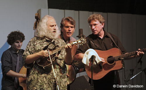 The David Grisman Bluegrass Experience-6968