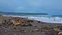 Bruce Bay on the Tasman Sea-9797