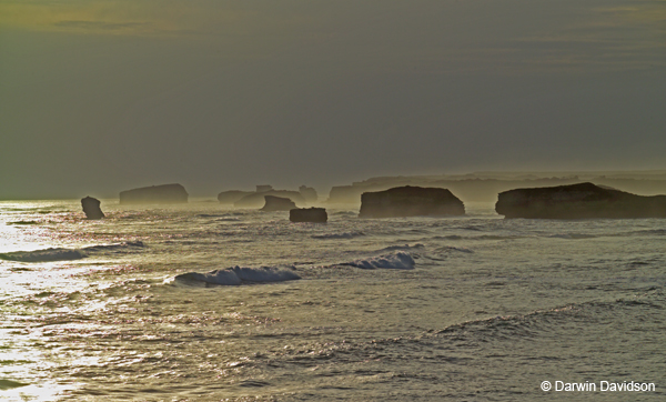 Bay of Martyrs, Victoria-7901