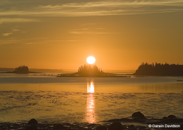 Mud Cove, 2006